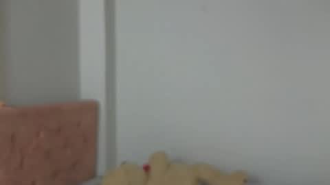 valery_lovex_ online show from October 10, 2025, 2:10 am