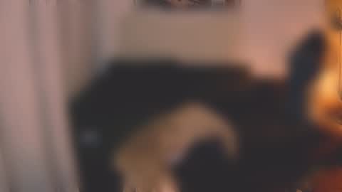 Snapshot of valorant_girl chatting on December 7, 2024, 3:08 pm Little Devil online show from December 7, 2024, 3:08 pm
