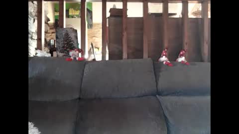 Snapshot of vampwoman chatting on December 12, 2024, 9:08 am vampwoman online show from December 12, 2024, 9:08 am