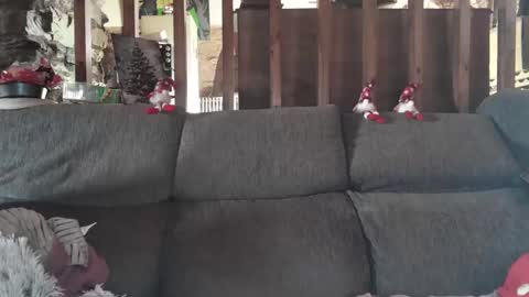 Snapshot of vampwoman chatting on December 14, 2024, 10:13 am vampwoman online show from December 14, 2024, 10:13 am