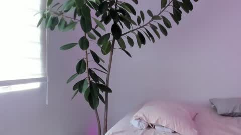 Snapshot of vandalovee chatting on July 2, 2026, 4:02 pm Babi Alu online show from July 2, 2026, 4:02 pm