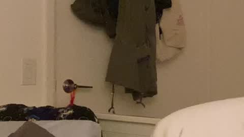 Snapshot of vanessapark chatting on December 24, 2024, 10:33 am Vanessa online show from December 24, 2024, 10:33 am