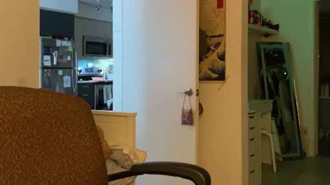 Snapshot of vanessapark chatting on January 5, 2025, 3:34 pm Vanessa online show from January 5, 2025, 3:34 pm