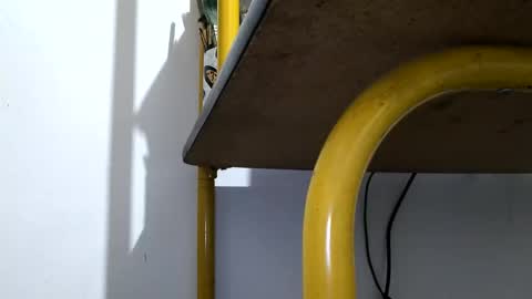 Snapshot of vasaryus chatting on March 4, 2025, 12:07 am vasaryus online show from March 4, 2025, 12:07 am