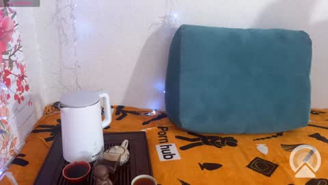 Snapshot of vasya_sylvia chatting on December 10, 2024, 8:08 am Vasya Sylvia online show from December 10, 2024, 8:08 am