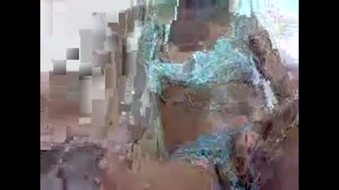 veera256 online show from December 17, 2024, 5:29 am