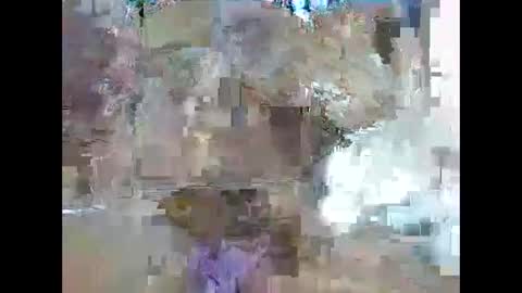 veera256 online show from January 17, 2025, 9:17 am