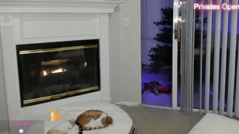 vegas_romance online show from February 12, 2025, 8:49 am