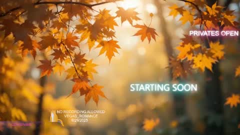 vegas_romance online show from September 30, 2025, 2:16 am