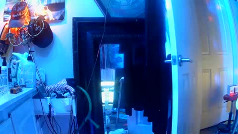 Snapshot of vegasmd chatting on March 12, 2025, 10:59 am vegasmd online show from March 12, 2025, 10:59 am