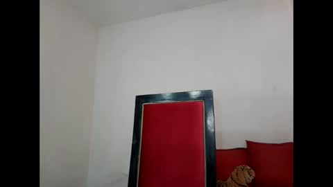 velk_hot1 online show from February 26, 2025, 6:54 pm