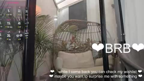 VENUS online show from January 19, 2026, 11:36 am