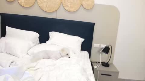 Snapshot of veola_new chatting on November 9, 2025, 2:32 am Violetta online show from November 9, 2025, 2:32 am