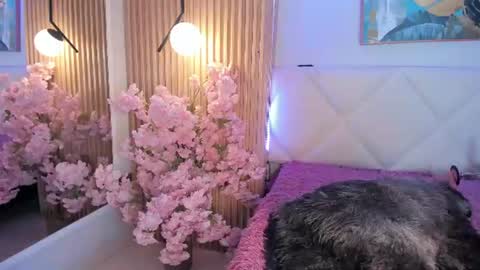 Snapshot of veronica_hill_ chatting on July 10, 2026, 3:11 am veronica_hill_ online show from July 10, 2026, 3:11 am