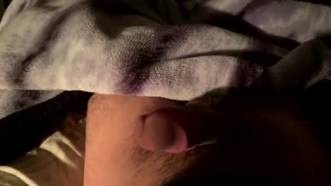 Snapshot of vibes456 chatting on January 10, 2025, 6:31 am vibes456 online show from January 10, 2025, 6:31 am