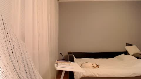 Amelia online show from February 5, 2025, 5:09 pm