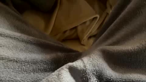 vicio online show from January 17, 2026, 4:43 pm