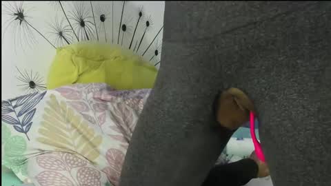 Vicky online show from February 27, 2025, 2:43 pm