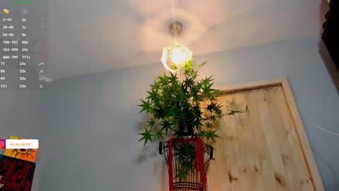 Victoria   online show from December 6, 2024, 7:01 pm