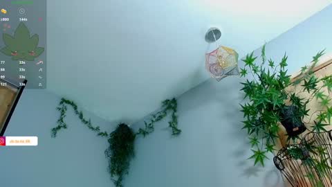 Victoria   online show from January 27, 2025, 11:22 pm