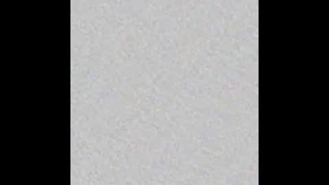 Victoria Collins online show from October 17, 2025, 12:08 pm