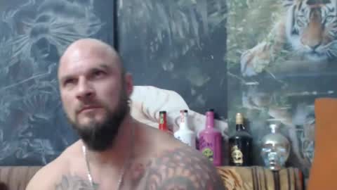 viking online show from November 5, 2025, 8:20 pm