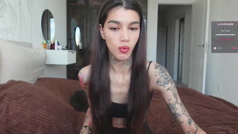 vinkitinkii online show from October 12, 2025, 6:56 am