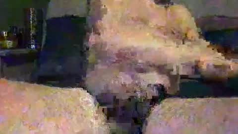 Snapshot of vinny440 chatting on May 1, 2026, 7:46 am Vinny online show from May 1, 2026, 7:46 am