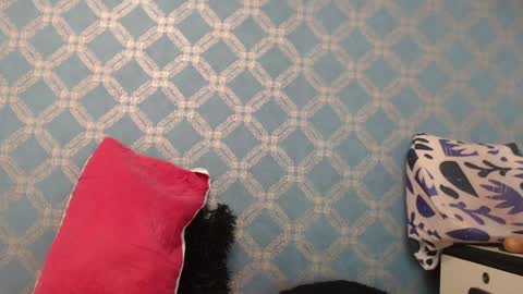 Violeta  online show from January 10, 2025, 10:15 pm