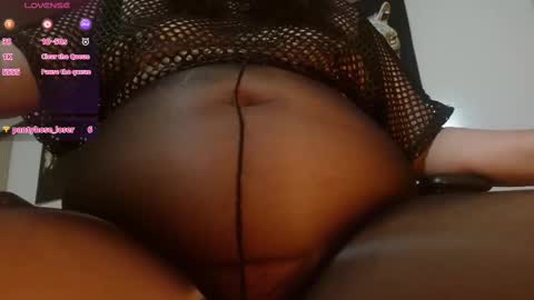 Sofia online show from February 11, 2025, 2:02 pm