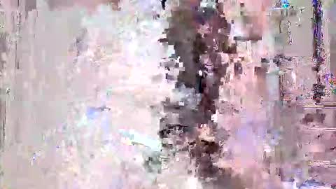 Snapshot of vitto_hammer5758 chatting on February 21, 2026, 9:49 pm vitto_hammer5758 online show from February 21, 2026, 9:49 pm