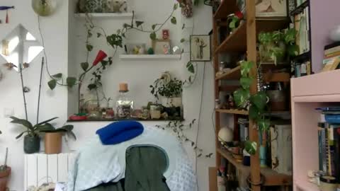 Snapshot of vivid_ether chatting on December 3, 2024, 9:33 am Viv online show from December 3, 2024, 9:33 am