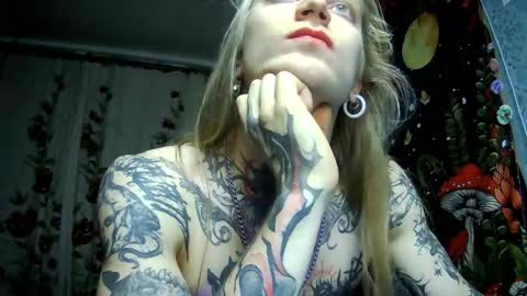 Elf online show from November 14, 2025, 2:38 pm