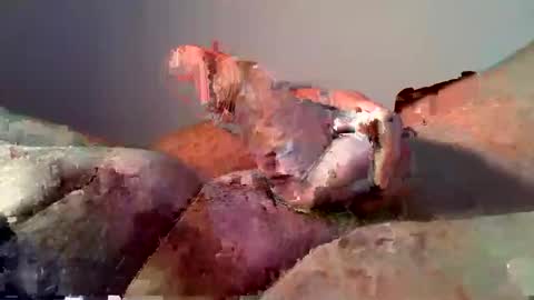 Snapshot of vukavuka99 chatting on December 16, 2024, 12:59 am vukavuka99 online show from December 16, 2024, 12:59 am