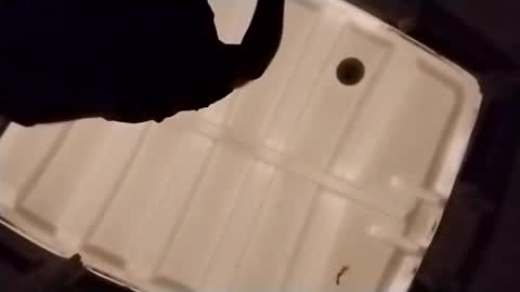 waffywaff77 online show from December 4, 2025, 1:09 pm