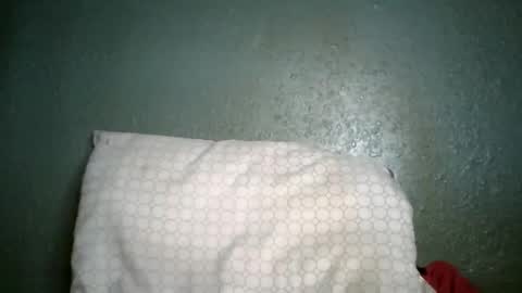 Champion Lover online show from January 7, 2026, 5:26 pm