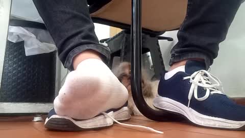 WaltherFeet  online show from September 8, 2025, 4:50 pm