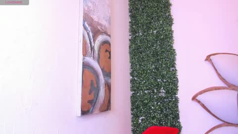 Wanda online show from February 26, 2025, 11:41 am