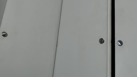 wants online show from September 14, 2025, 3:16 am