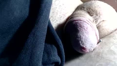 wants online show from November 6, 2025, 2:40 pm