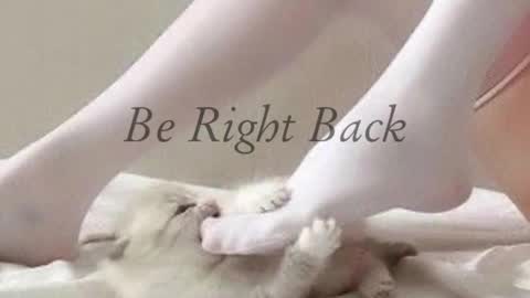 Angel A online show from February 1, 2025, 8:08 am