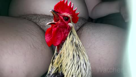 Snapshot of watcher_9 chatting on October 7, 2025, 8:17 pm classified online show from October 7, 2025, 8:17 pm