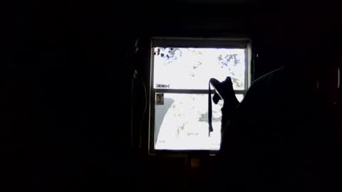 waterfire420 online show from January 5, 2025, 4:59 pm