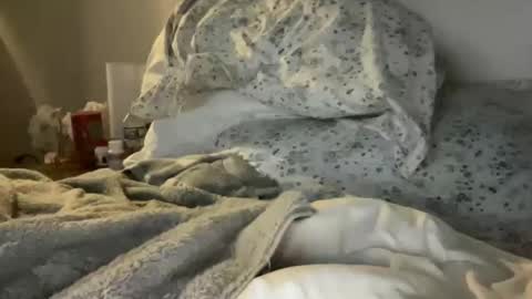 waveonce online show from March 29, 2026, 11:32 am