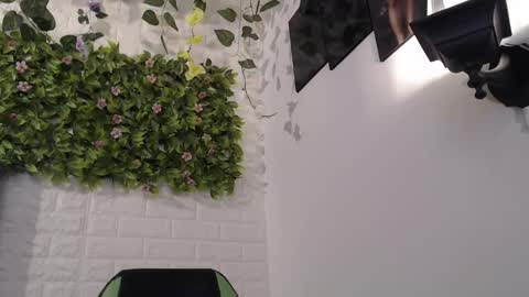 Trixie 3 online show from February 17, 2025, 7:42 pm