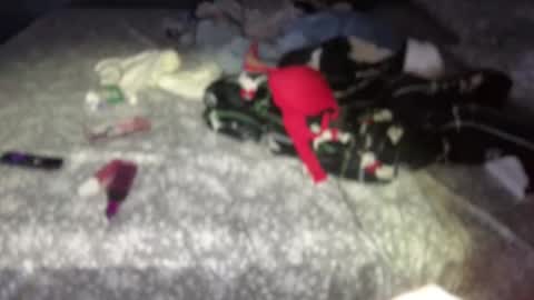 wedifferent_ online show from November 1, 2025, 12:51 pm