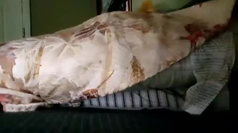 welldny online show from October 19, 2025, 6:08 pm