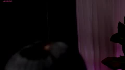 Wendy online show from February 13, 2026, 9:55 pm