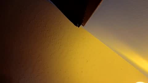 Snapshot of wetduck77777 chatting on April 9, 2026, 9:15 am wetduck77777 online show from April 9, 2026, 9:15 am