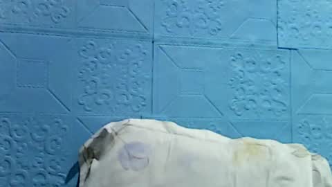 wettyhottie69 online show from July 1, 2026, 10:31 pm